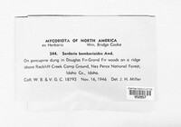 Image Associated With the Occurence